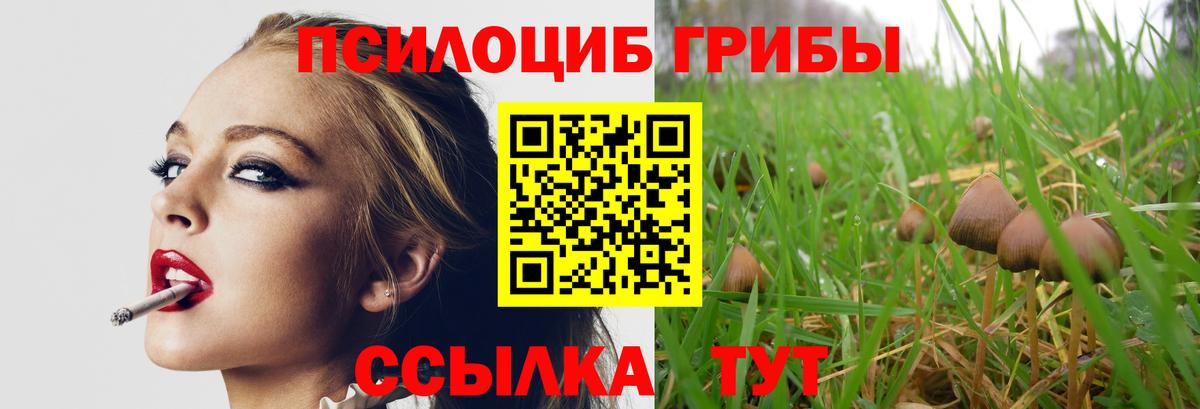 Галлюциногенные грибы мухоморы Саяногорск